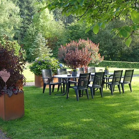 Hoffmann Nimshuscheid